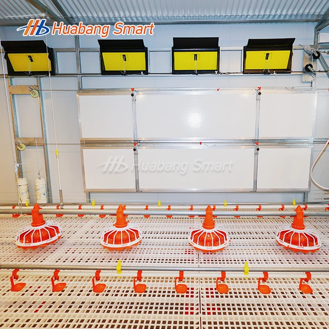 Feeder And Drinker For Chicken